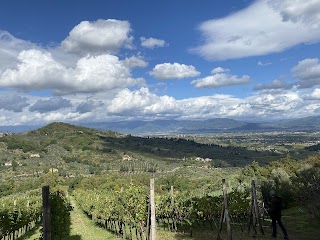 Colline San Biagio Società Semplice Agricola