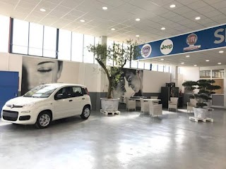 Officina e Carrozzeria Autorizzata Fiat - Cesag