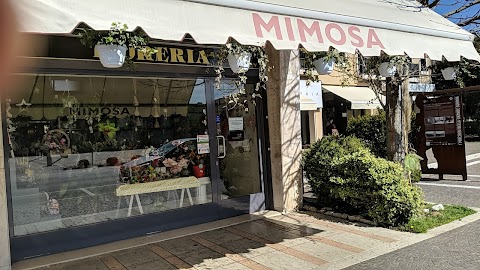 Fioreria Mimosa di Morettin Aldo Sas