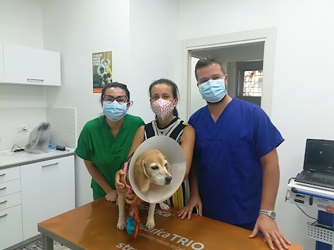 Centro Veterinario Santa Chiara Reperibilità h24