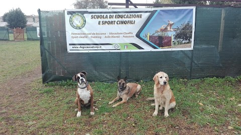 Centro Cinofilo Dogs & Co. Academy asd