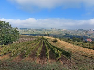 La Terrazza Sui Vigneti