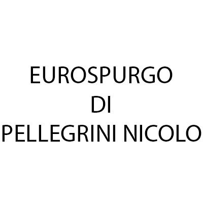 Eurospurgo di Pellegrini Nicolo'