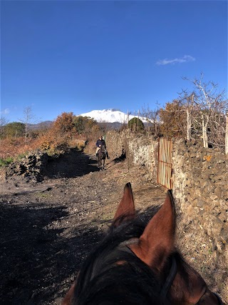 Centro Equestre Etneo ''Regia Equitum'' Scuola di Equitazione