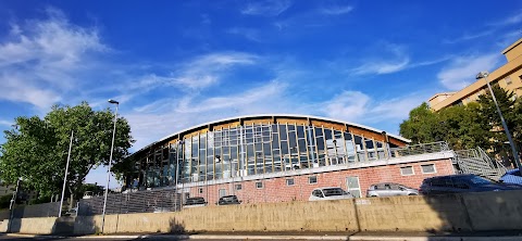 Stadio del Nuoto PalaEnel "Marco Galli" Civitavecchia