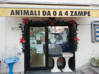 Animali da 0 a 4 zampe