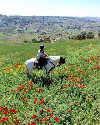 HERBESSUS A CAVALLO - CENTRO IPPICO- ESCURSIONI A CAVALLO