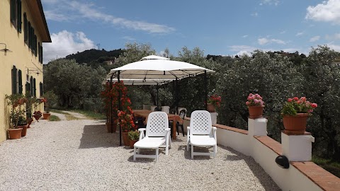 Agriturismo Bellavita