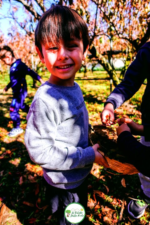 Il Salotto Delle Fiabe - Scuola dell'Infanzia-Asilo Nido-Eventi Outdoor-Campo estivo