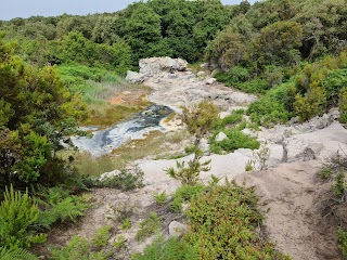 Riserva Naturale Regionale Tor Caldara