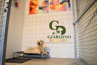 Giardino Dorato - Allevamento Golden Retriever - Pensione per cani