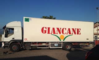 Giancane Group