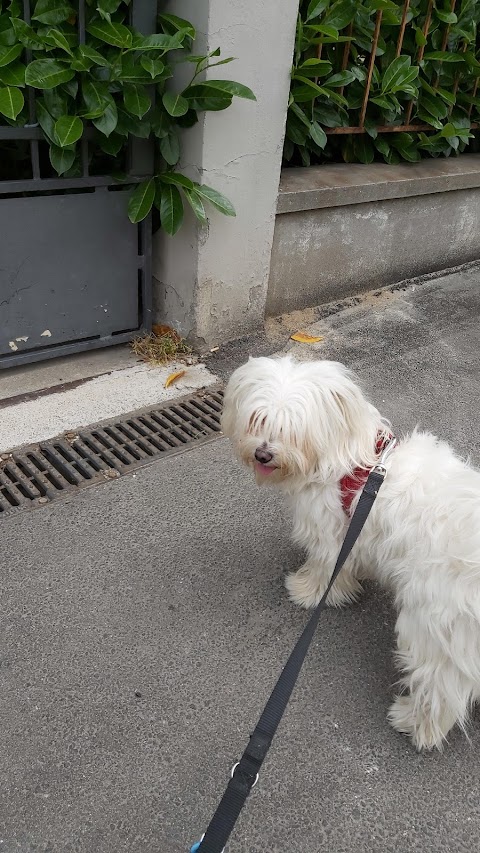 Clinica Veterinaria Due Madonne