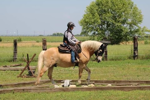 Country Ranch School