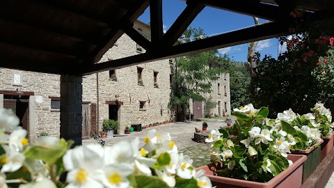 Azienda Agrituristica Ca’ d’Alfieri