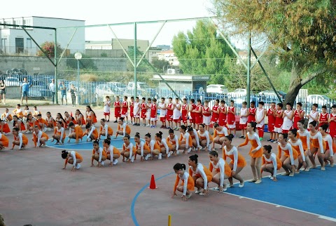 ASD OLIMPICLUB CATANIA scuola di ginnastica Ritmica-Atletica-Pallavolo-Basket/Grest Estivo