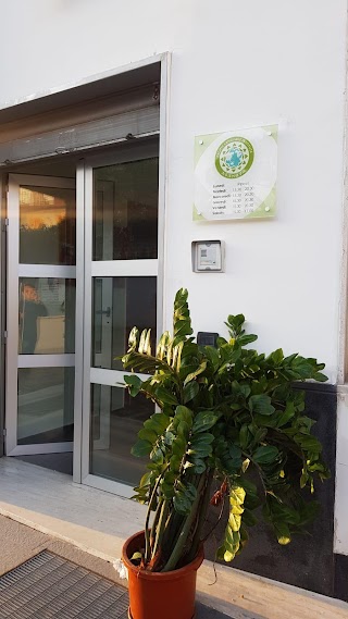 Pacific Language Institute