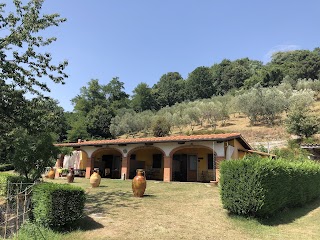 Agriturismo Il Pillone.