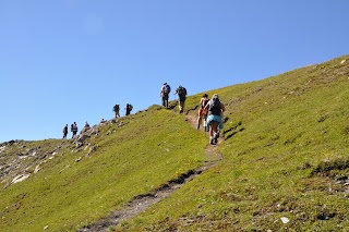 TREKKING HABITAT - Guide Naturalistiche per Trekking