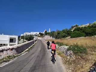 Nature Bike