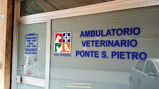 Ambulatorio Veterinario Ponte San Pietro Dr. Panzeri