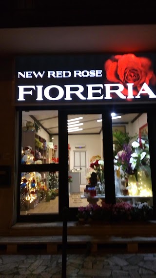 Fioreria New Red Rose