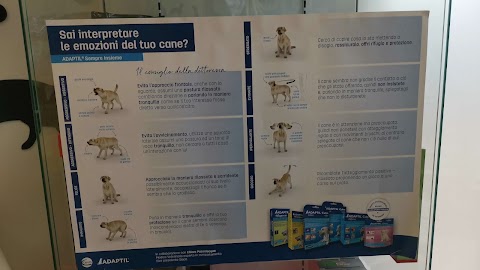 Clinica Veterinaria MasterVet