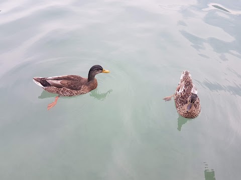 Stadtwerke Strandbad Klagenfurt