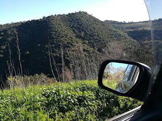 Bosco di Angimbè