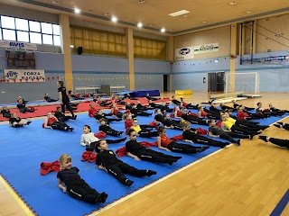 C.S. ARTISTIC GYM