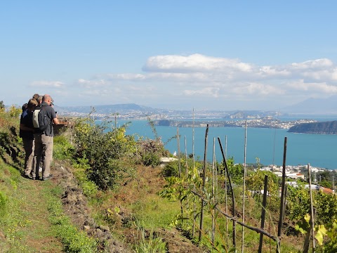 Di Iorio Aniello Wanderungen