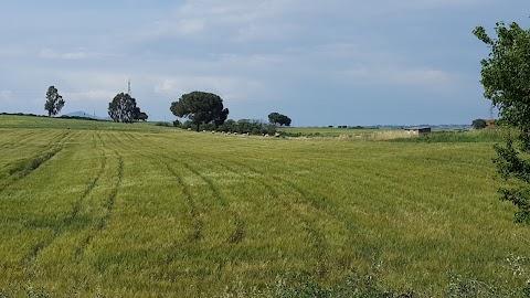 Agriturismo Roma Nord "Riserva dell'olmo"