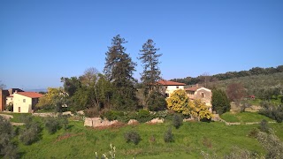 Fattoria di Ceppeto