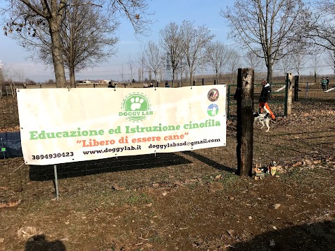 DOGGY LAB ASD - Educazione ed Istruzione Cinofila