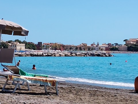 Spiaggia per cani