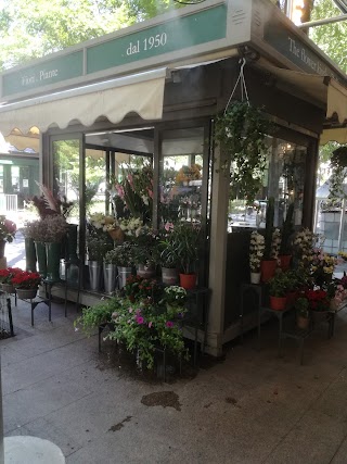 Fiori e piante piazza risorgimento