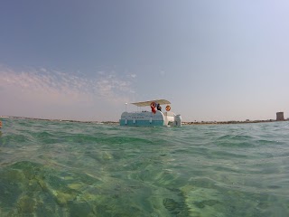 Taxi Boat da CINZIA&LUPO DI MARE