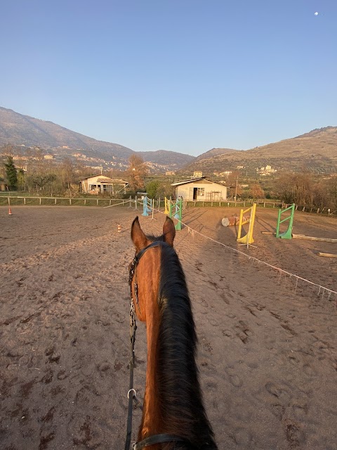 Centro Equestre Villa Mary