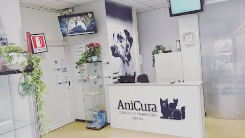 Clinica Veterinaria Foce