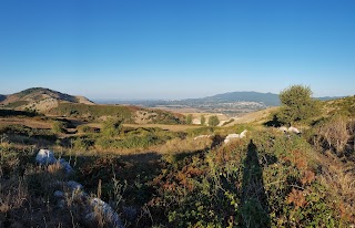 Piano della Civita di Artena