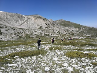 Cima Della CERASA