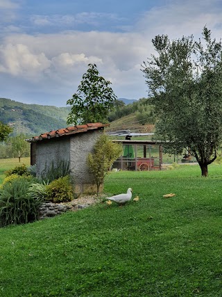 Agriturismo Terrarossa