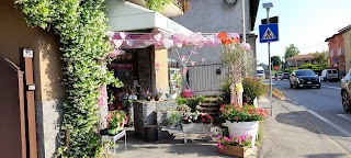 Il Giardino Di Fabia