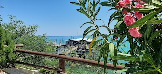 Toscano Ostia - Agenzia Immobiliare