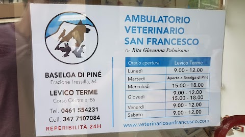 Ambulatorio Veterinario H24 San Francesco di Palmisano Rita