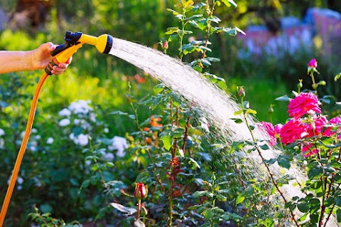 Zooagricola - Alimenti e Mangimi per Animali, Prodotti per l'Agricoltura e Giardinaggio