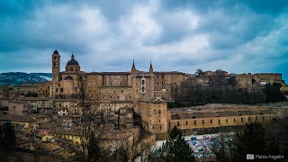 Taxi Urbino