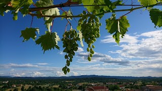 Odlična hiša Štanjel