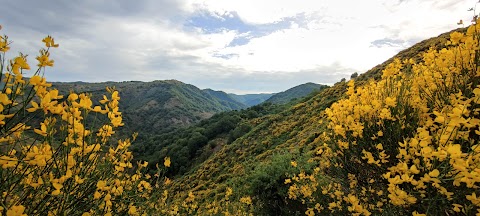 ValDemona Tra le valli di Sicilia