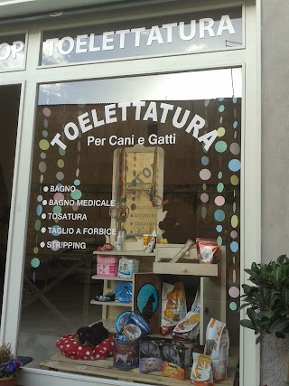 Toelettatura e Petshop - Catti&Gani